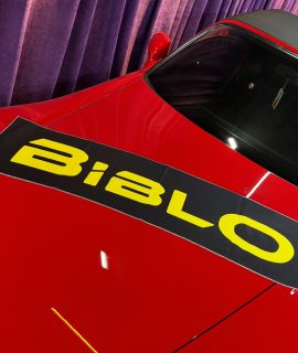BİBLO TORPİDO HAVLUSU